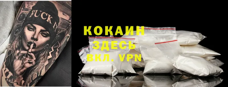 Cocaine Fish Scale  купить наркотики цена  Беломорск 